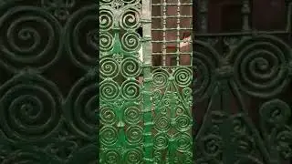 Very close look at the grave of prophet Muhammad peace be up on him from Rawda