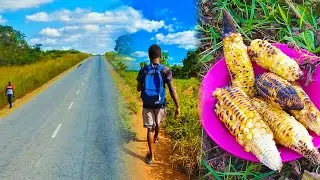 VIAGEM DE NAMPULA PARA VILA DE NAMIALO: 🇲🇿Conhe&ccedil;a Mo&ccedil;ambique