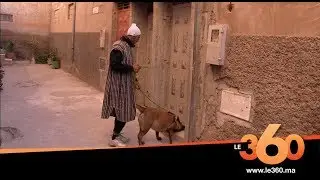 Le360.ma • كلاب مدربة تضع نهاية للأصوات الغريبة الصادرة من منزل بآيت ملول