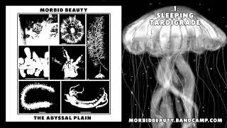 Morbid Beauty 7 - The Abyssal Plain (Minimal Dark Ambient Noise Wall The Deep Sea)