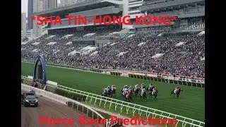 13 APRIL 2025 SHA TIN HONG KONG HORSE RACE PREDICTIONS SUNDAY