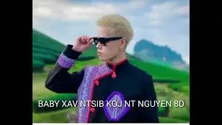 BABY XAV NTSIB KOJ NT NGUYEN 8D