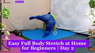 Easy Full Body Stretch at Home for Beginners | Day 2 Part 1