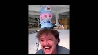yuyuko inflatable