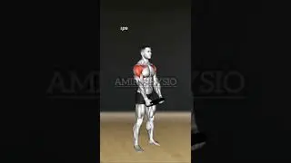 gym workout video 📸 home 🏡 work out video #youtube #gym #exercise