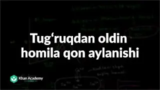 Tugʻruqdan oldin homila qon aylanishi | Homila qon aylanishi | Tibbiyot