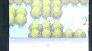 [WSHC #4]Shiny Sudowoodo after 10.570 SR's/Simularbre shiny apr&egrave;s 10.570 resets