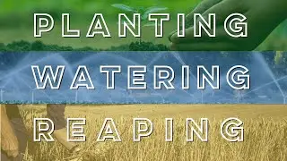Planting Watering Reaping by Mike Tracy