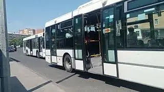 Scania OmniLink CL94UB,МАЗ 103.465