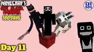 විනාසයක් වෙයිද අද? Day 11 | Minecraft 100 Days One Block Horror Sinhala | DR MaxWave Gaming