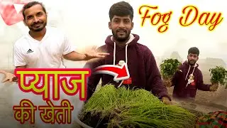 बागवानी के बीच प्याज की खेती #Grow Your OWN PROFITABLE Onion Farm