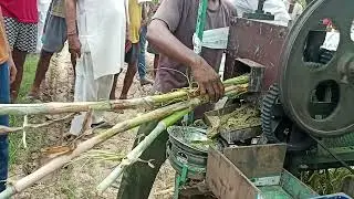 Advanta seeds ki mega sweet jawar