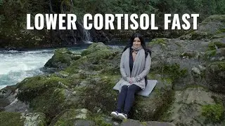 Instantly Lower Cortisol: Calming Nature Meditation (Apana Vayu)