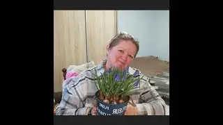 Дива трапляються, гарні просування