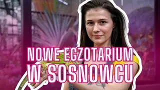 Nowe Egzotarium w Sosnowcu już prawie gotowe. Zachwyca!
