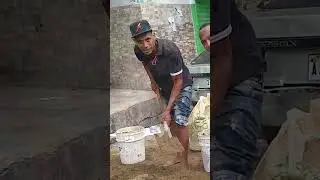 #mira Porque contratan a ilegales Haitianos en República Dominicana.