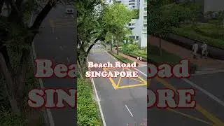 Beach Road Singapore | Singapore Travel #Shorts