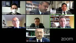 Sess&atilde;o Judici&aacute;ria Ordin&aacute;ria por Videoconfer&ecirc;ncia - TRE-PI 29.03.2021