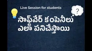 సాఫ్ట్‌వేర్ కంపెనీల వర్కింగ్ ఎలా ఉంటుంది? | Telugu Live Session Explained