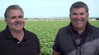 Strawberry Farmer Peter Navarro- Safety in Strawberry Farms