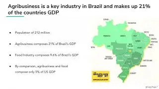 Brazilian Plant-Based Market Overview