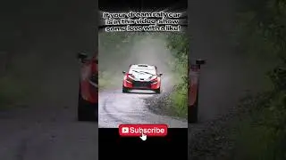 Raw Rally Engine Sounds - No Music, Just Pure Performance! #motorsportaudio #automobile #rally
