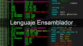 Hablemos como m&aacute;quinas, &iquest;Qu&eacute; es el lenguaje ensamblador?