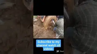 tractor stuck in mud removing with another position