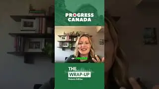 Kyla Ronellenfitsch on the Ontario Liberal Party's Voter Pool