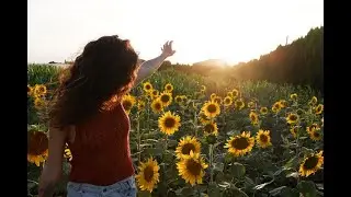 Energetic Rhythm | Outdoor Event Music | Sunflower Park Music | Dawn Music | Morning Musical Beats