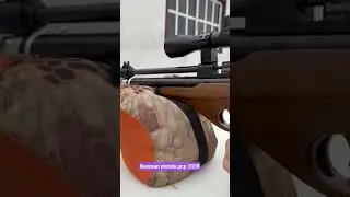 pistola pcp beeman 2028 pcp calibre 22 prueba de crony
