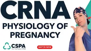 Physiology of Pregnancy. Nurse Anesthesia And Pregnancy Considerations!