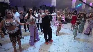 LeLe - Schimb Banii Si Femeile Cum Imi Schimb Sosetele 2025 | HIT PREMIERĂ LIVE 2025