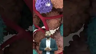 Omega-6 Fatty Acids and Cancer Risk | Manish Shrivastava | StudyIQ IAS Hindi