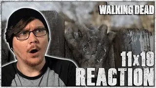 THE WALKING DEAD 11x19 Reaction! 