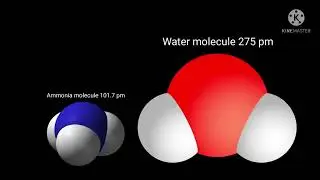 Molecule Size Comparison