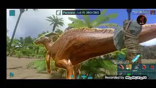 Ark 4. Bölüm