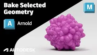 Arnold Tutorial - Bake Selected Geometry in Maya (GPU)