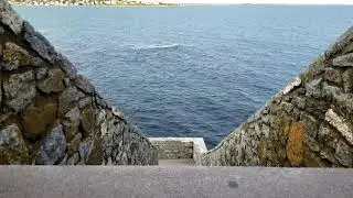 Forty Steps