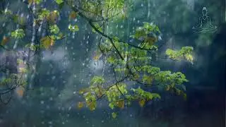 Rainy Window Serenity: Relaxing Rain Sounds for Ultimate Tranquility
