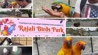 Rajali Birds Park Thanjavur | Exotic Birds from 20 different Countries | Voice of Vinu