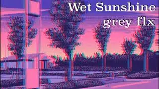 Wet Sunshine - Grey FLX