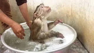 Smart Jason Patiently Satisfied Take Bath With Mom Convince Rins Shampoo