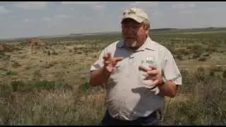 Grazing Management for Quail