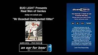 Mr Baseball Designated Hitter