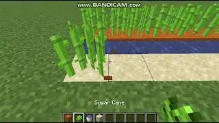 Minecraft 26.1-snapshot-4: Sugar Canes can now place Red Sand