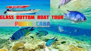 Glass Bottom Boat Tour In Punta Cana: Snorkeling & Dolphin Watching Boat Tour