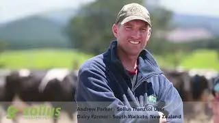 Sollus -  Interview with Andrew Parker