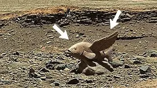 NASA's Perseverance Rover Captured Latest Breathtaking 360&deg; Panoramic View of Mars Landscape 1672