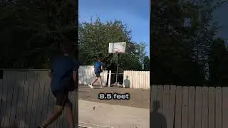 Which basketball hoop height is best? #basketball